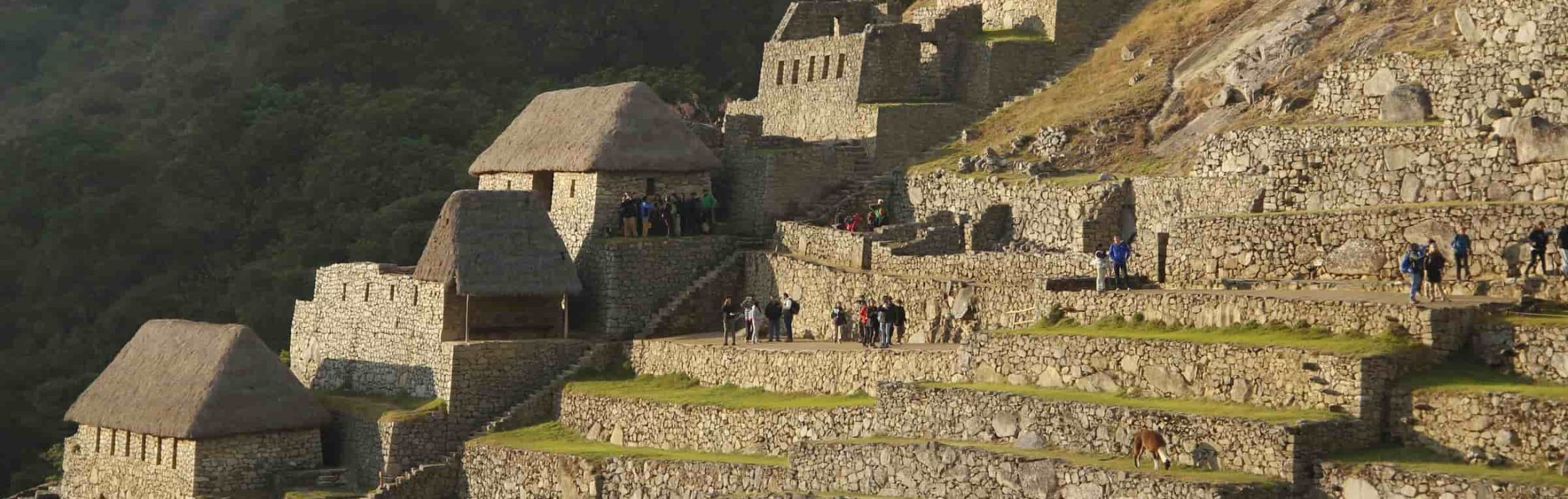 Inca Jungle Trail vs Classic Inca Trail 4 Days 2026