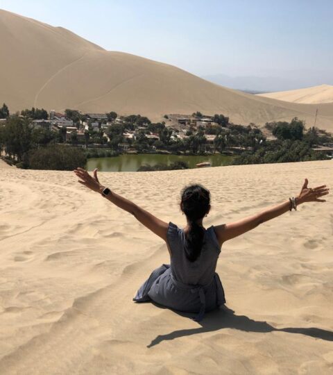 Nazca Lines & Huacachina Oasis from Lima 1 Day Nazca Lines & Huacachina Oasis from Lima 1 Day